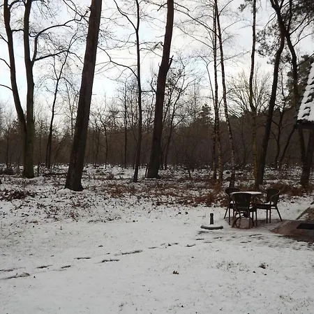 Vosseven 27 Heksenkring * Stramproy