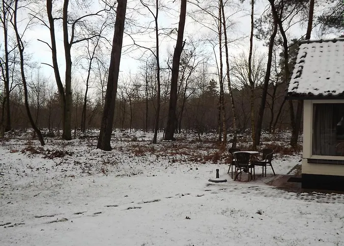 Vosseven 27 Heksenkring * Stramproy