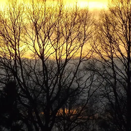 Vosseven 27 Heksenkring بيت للعطل