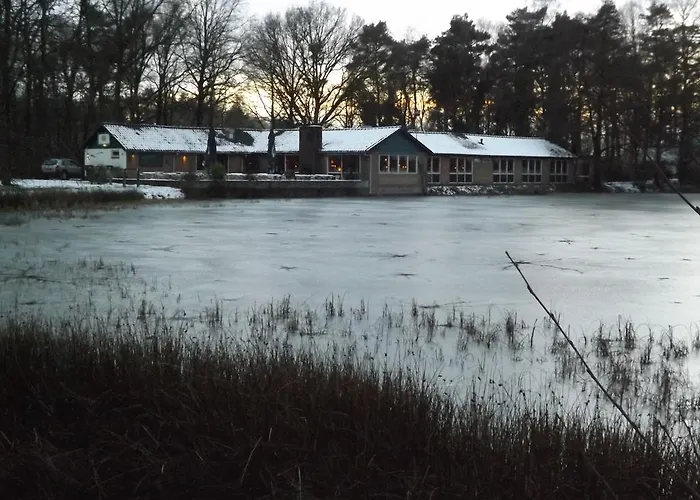 Vosseven 27 Heksenkring Holiday home Stramproy