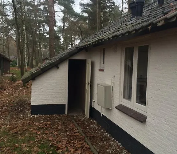 Vosseven 27 Heksenkring *