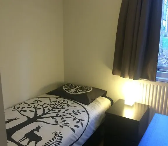 Vosseven 27 Heksenkring Holiday home Stramproy