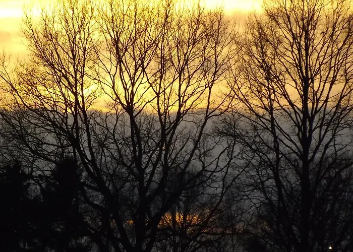 Vosseven 27 Heksenkring Holiday home